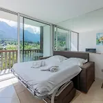 公寓 Riverside Mont Blanc View - Happy 霞慕尼